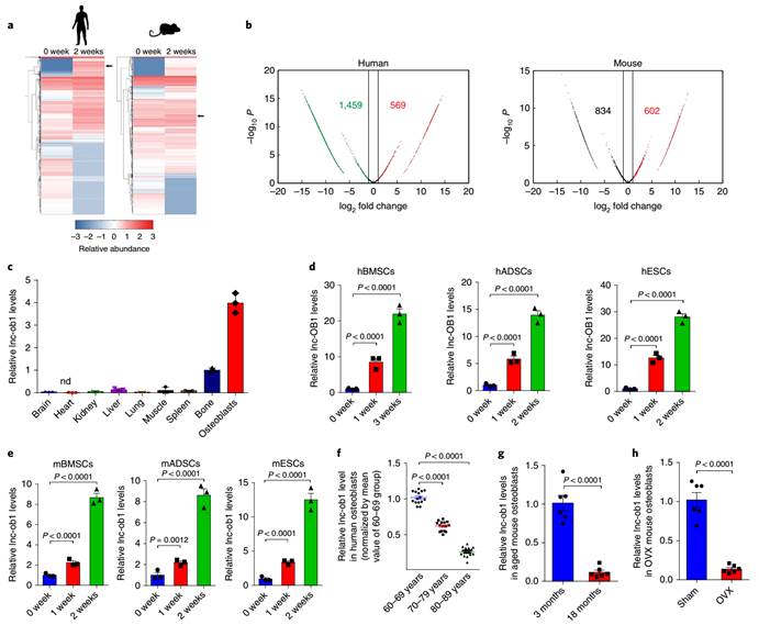 D4D437EEA7EAB7BDC5D936FFF50_76B360F8_D350