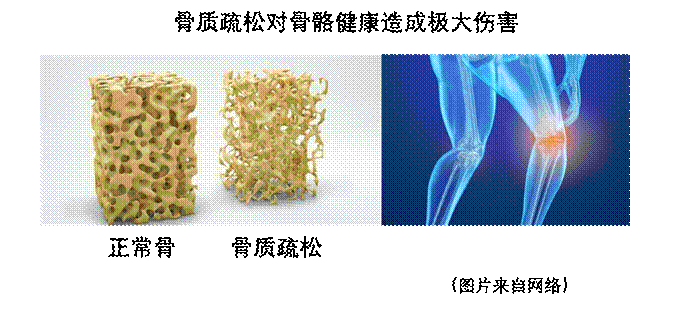 DC370B7425234086E7FC09214D8_AD45A639_9F9D